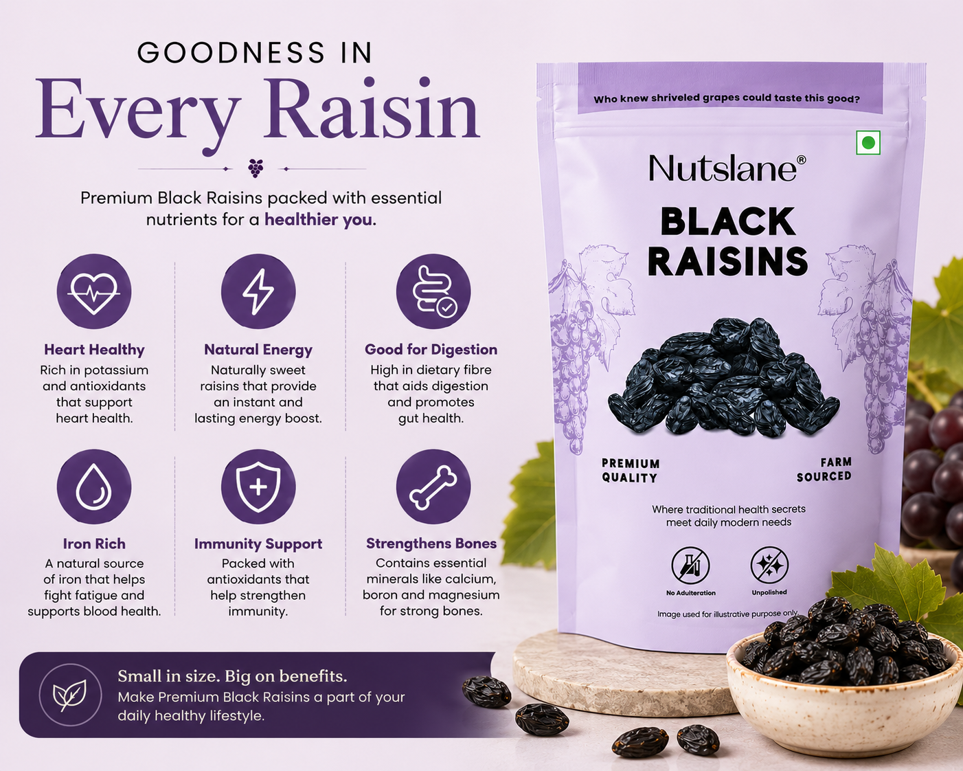 Premium Black Raisins – Naturally Sweet, Iron Rich & Healthy Dry Fruits