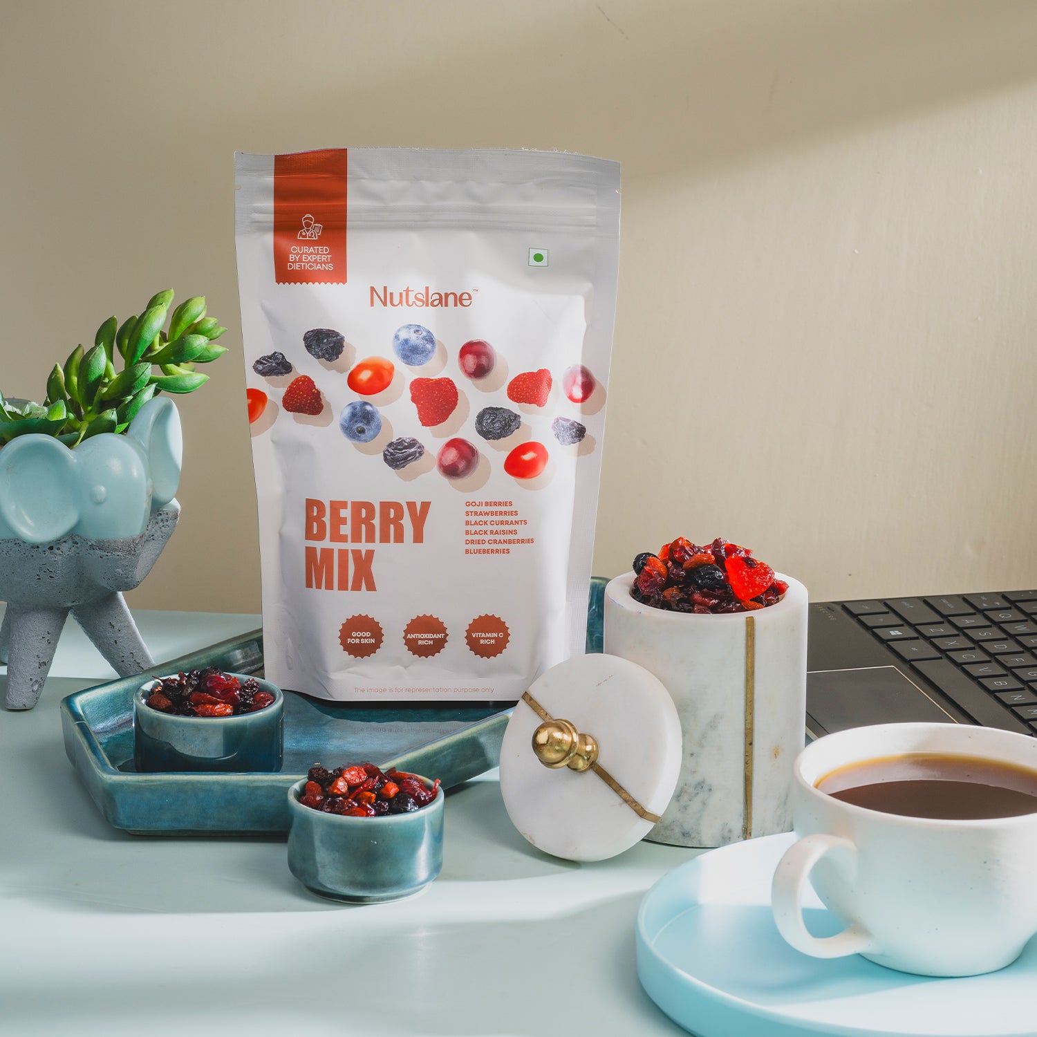 Premium Dried Berry Mix