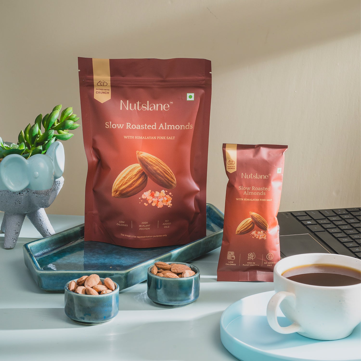 Premium Salted and Roasted Almonds