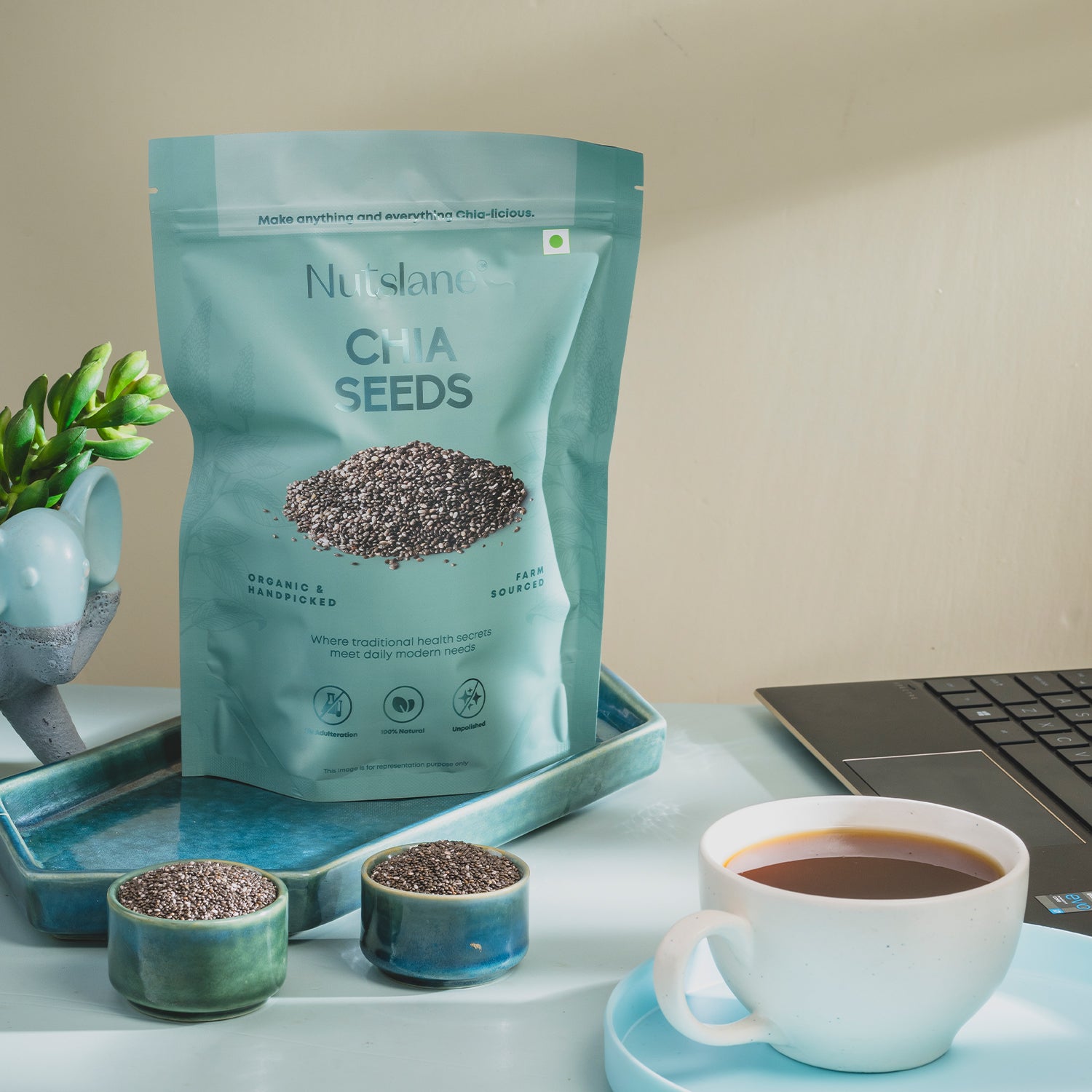 Premium Chia Seeds | Pack of 2 (200g Each)