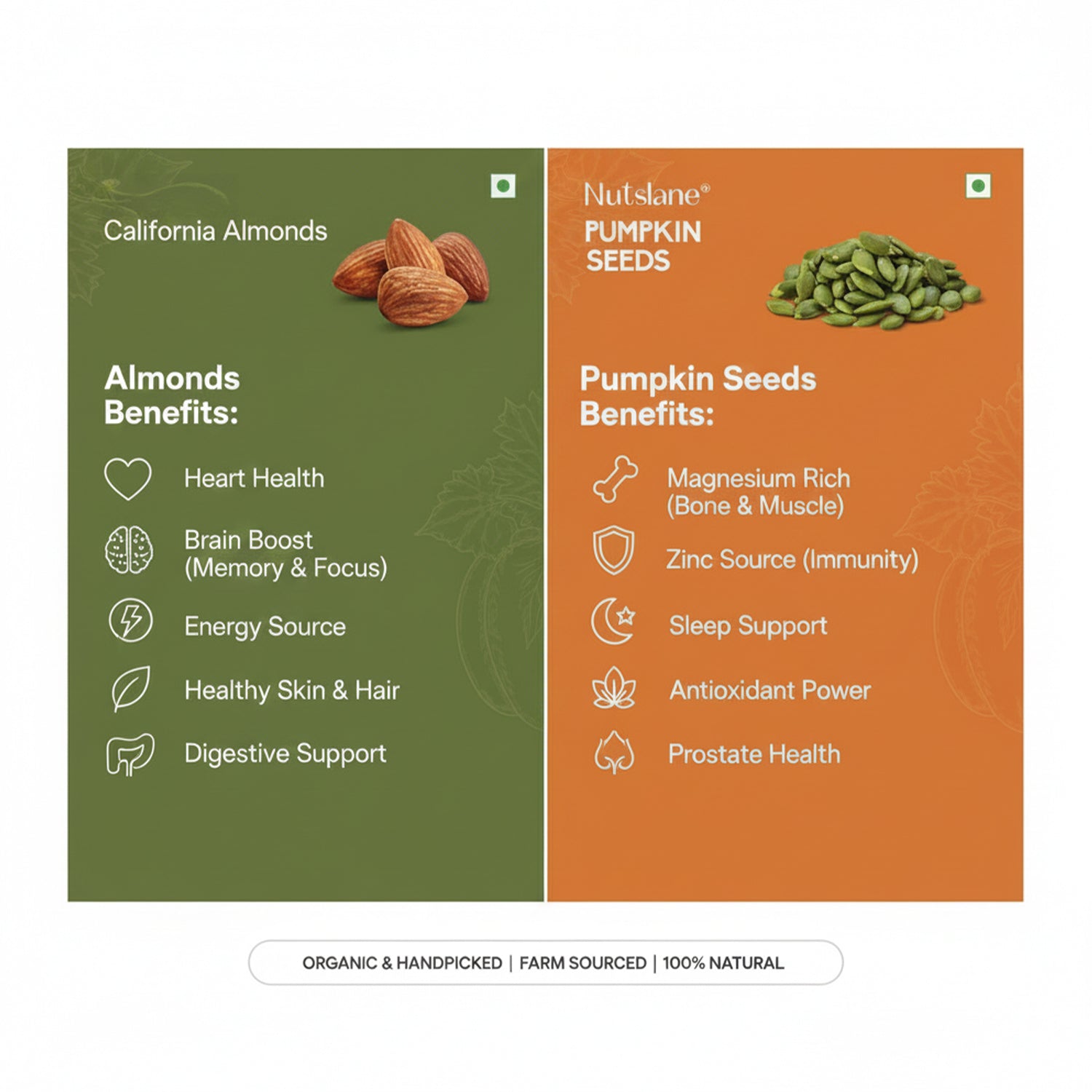 Premium Mind Boost Combo