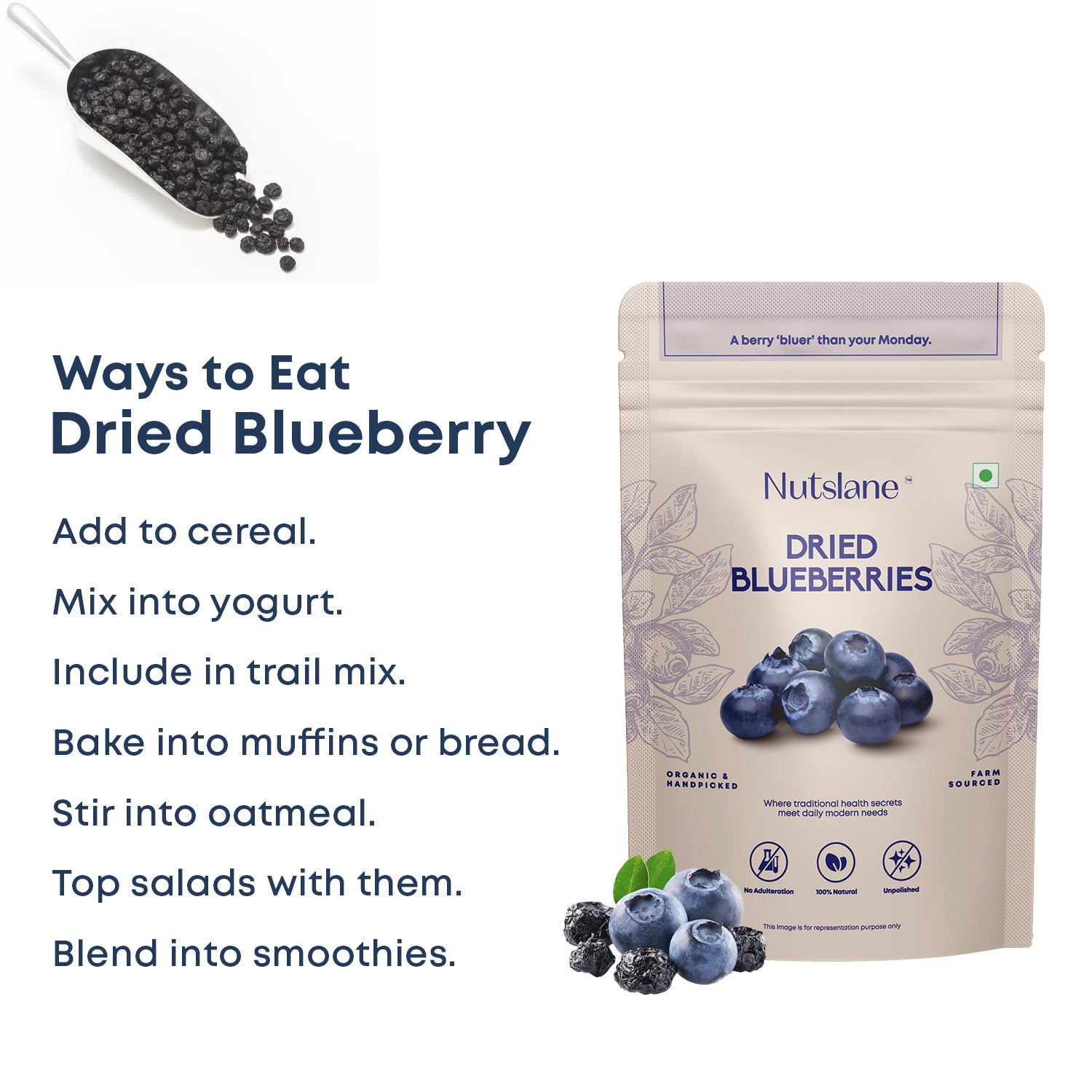 Dried Premium Whole Californian Blueberries