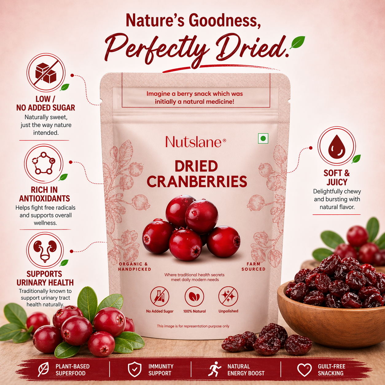 Californian Cranberries – Sweet, Tangy & Antioxidant-Rich Snack