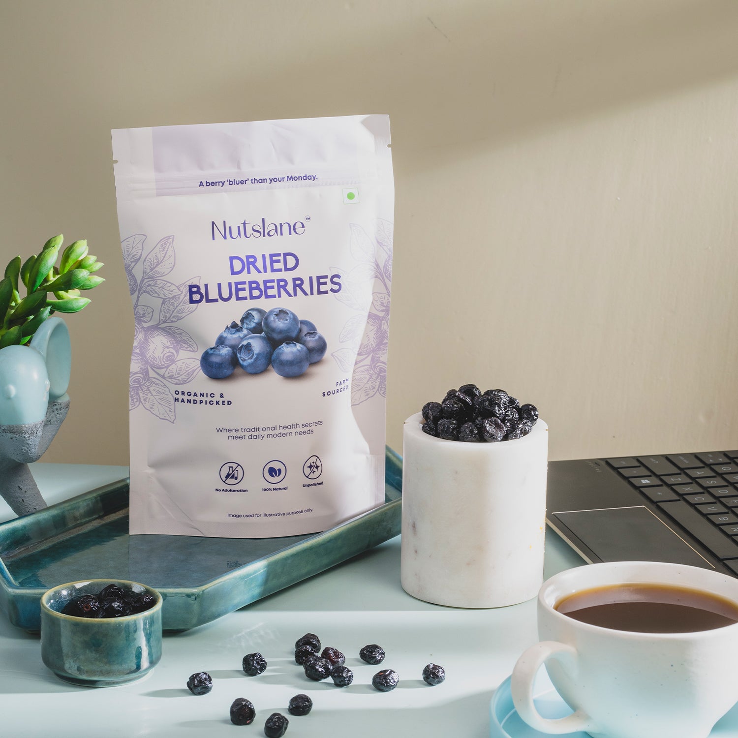 Premium Californian Blueberry